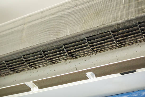 Best Emergency Air Duct Cleaning  in Chipley, FL